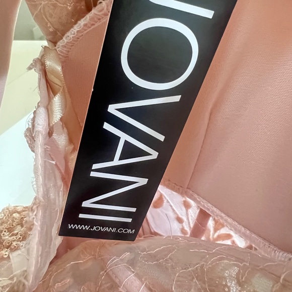 Jovani Blush Mermaid Sleeveless Sequin Sheer Corset‎ Formal Long Prom Gown SZ 10 - Picture 8 of 12